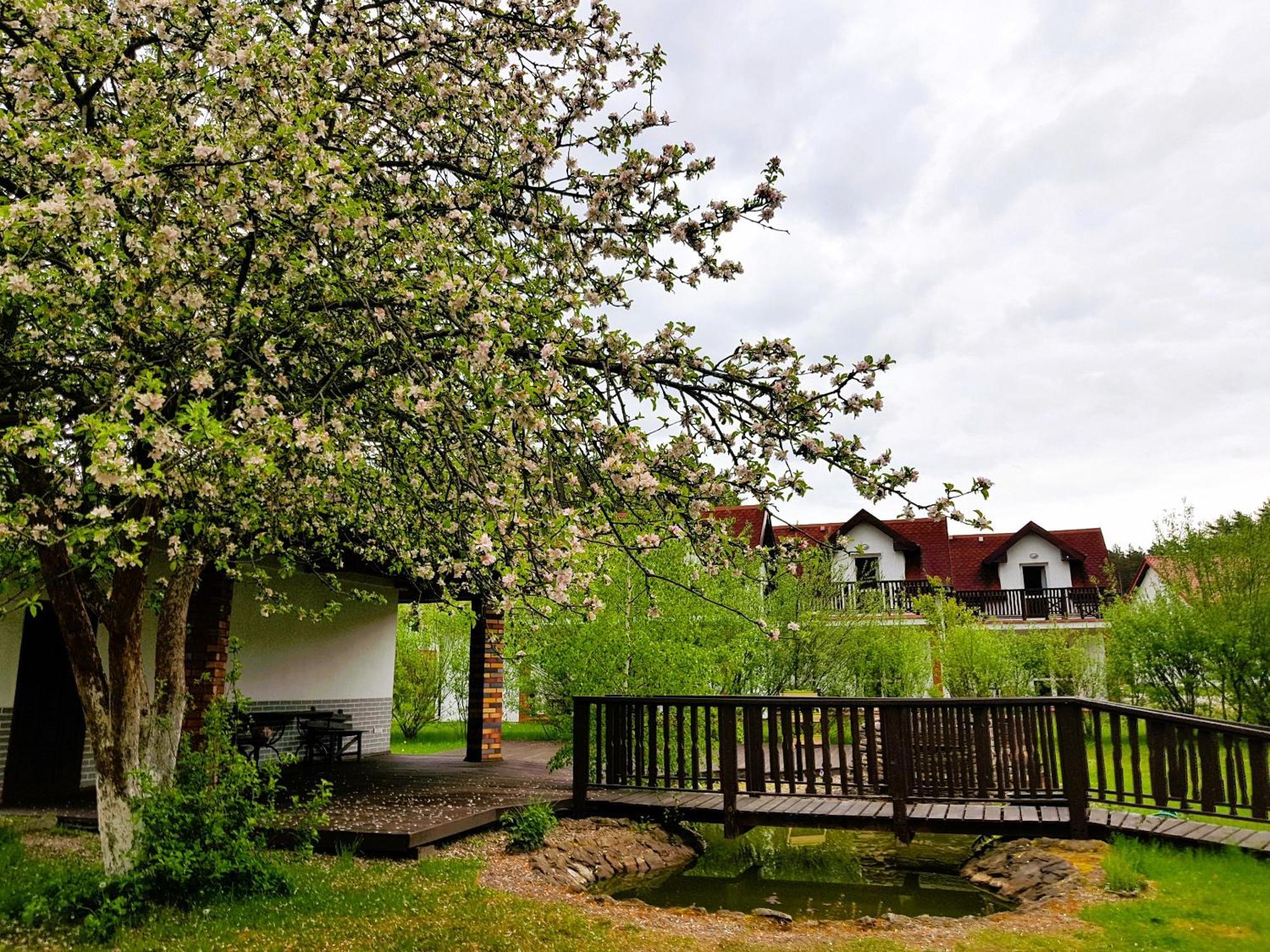 Osrodek Nad Jeziorem - Radew Rosnowo Exterior foto